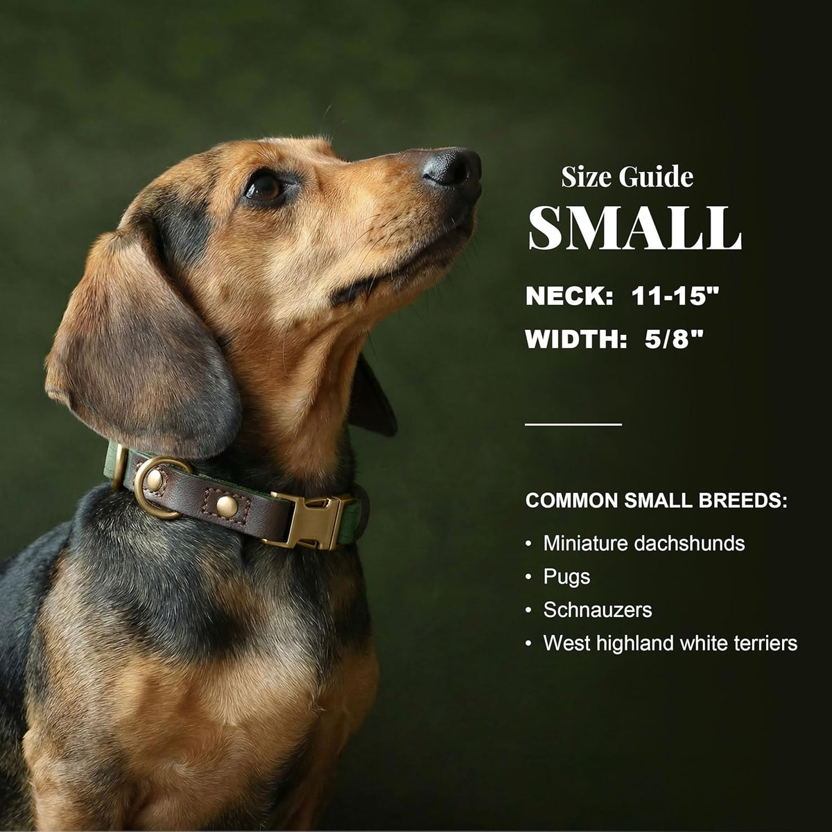 Didog adjustable leather dog collar interior nylon padding