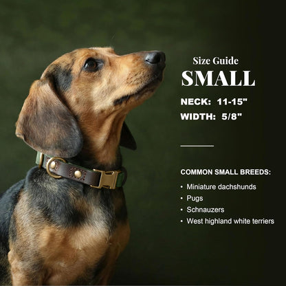 Didog adjustable leather dog collar interior nylon padding