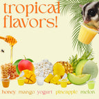 Exotic Nutrition Nectar Pods Honey stack of portions