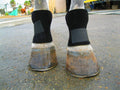 Equipro Bedsore Boots for Horses front view showing premium neoprene material for equine leg protection.