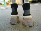 Equipro Bedsore Boots for Horses front view showing premium neoprene material for equine leg protection.