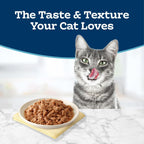 Blue Buffalo Tastefuls flaked adult wet cat food 24 cans packaging