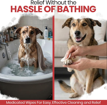 United States manufactured Chew + Heal Labs dog paw wipes container for allergy relief.
