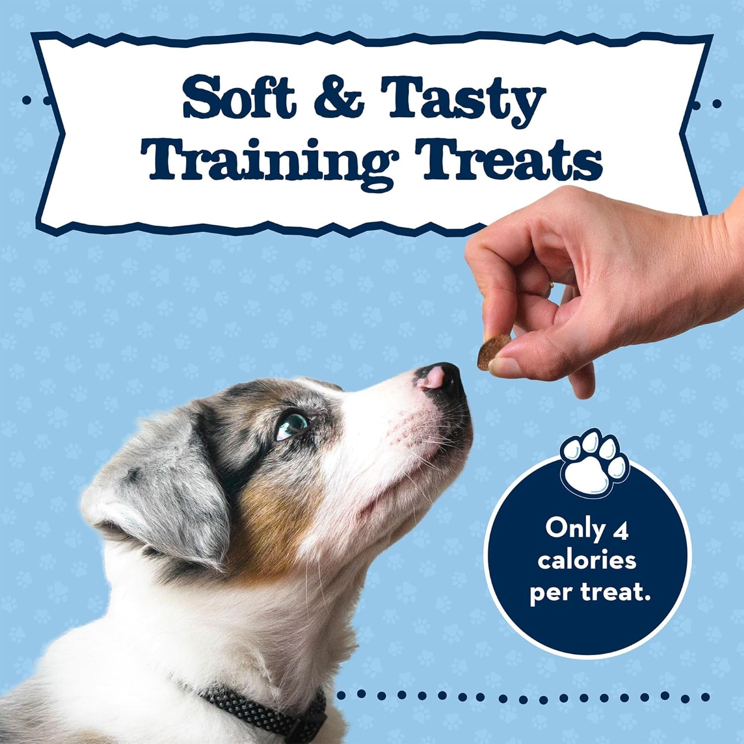 Blue Buffalo Baby Blue Training Treats Natural Puppy Soft Dog Treats, Savory Chicken 4-oz Bag - Image 9