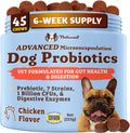 Natural Dog Company Probiotics for Dogs front view of premium pet supplement jar
