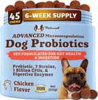 Natural Dog Company Probiotics for Dogs front view of premium pet supplement jar
