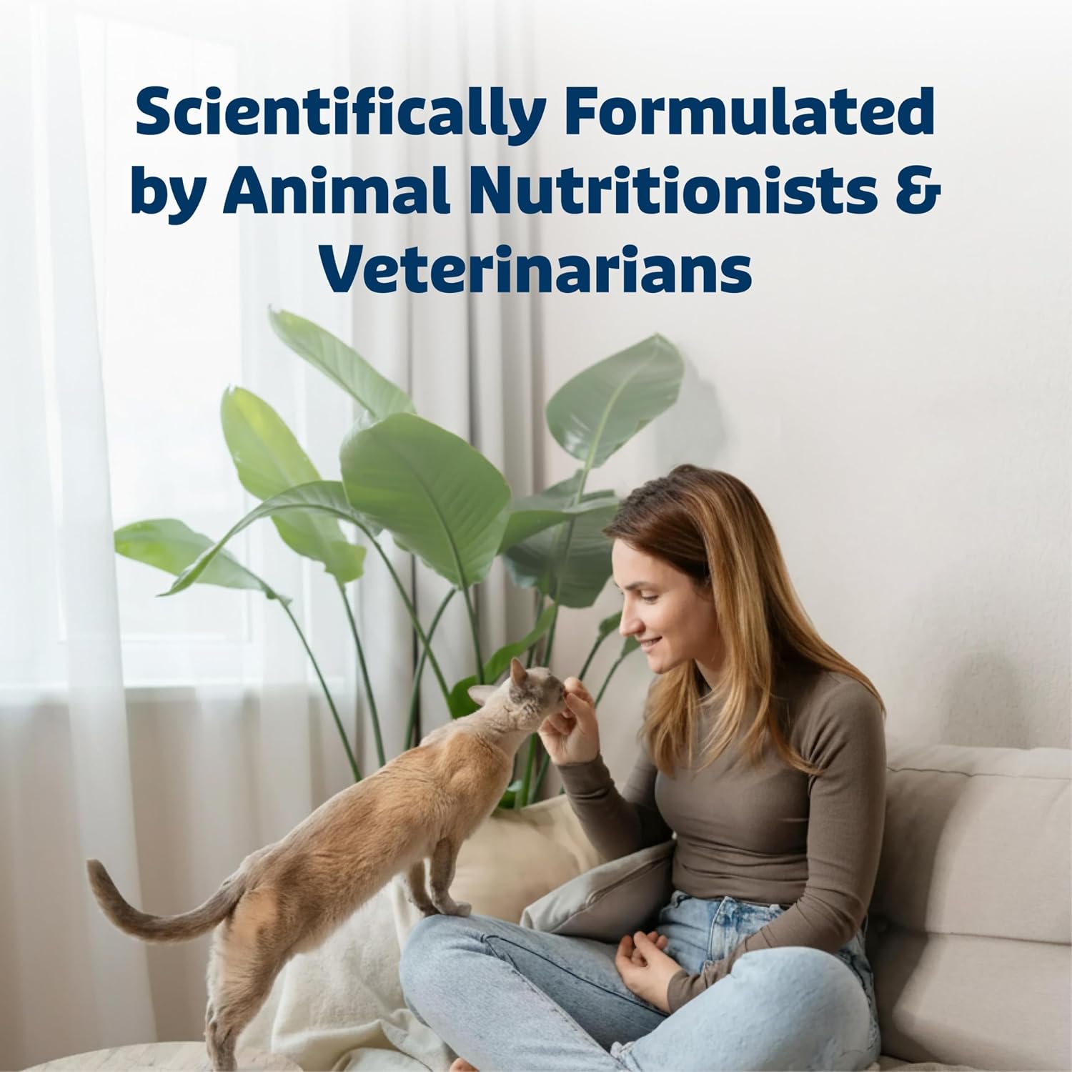 Blue Buffalo healthy cat treats pouch back label with nutritional guidelines.