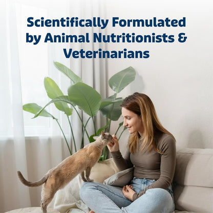 Blue Buffalo healthy cat treats pouch back label with nutritional guidelines.