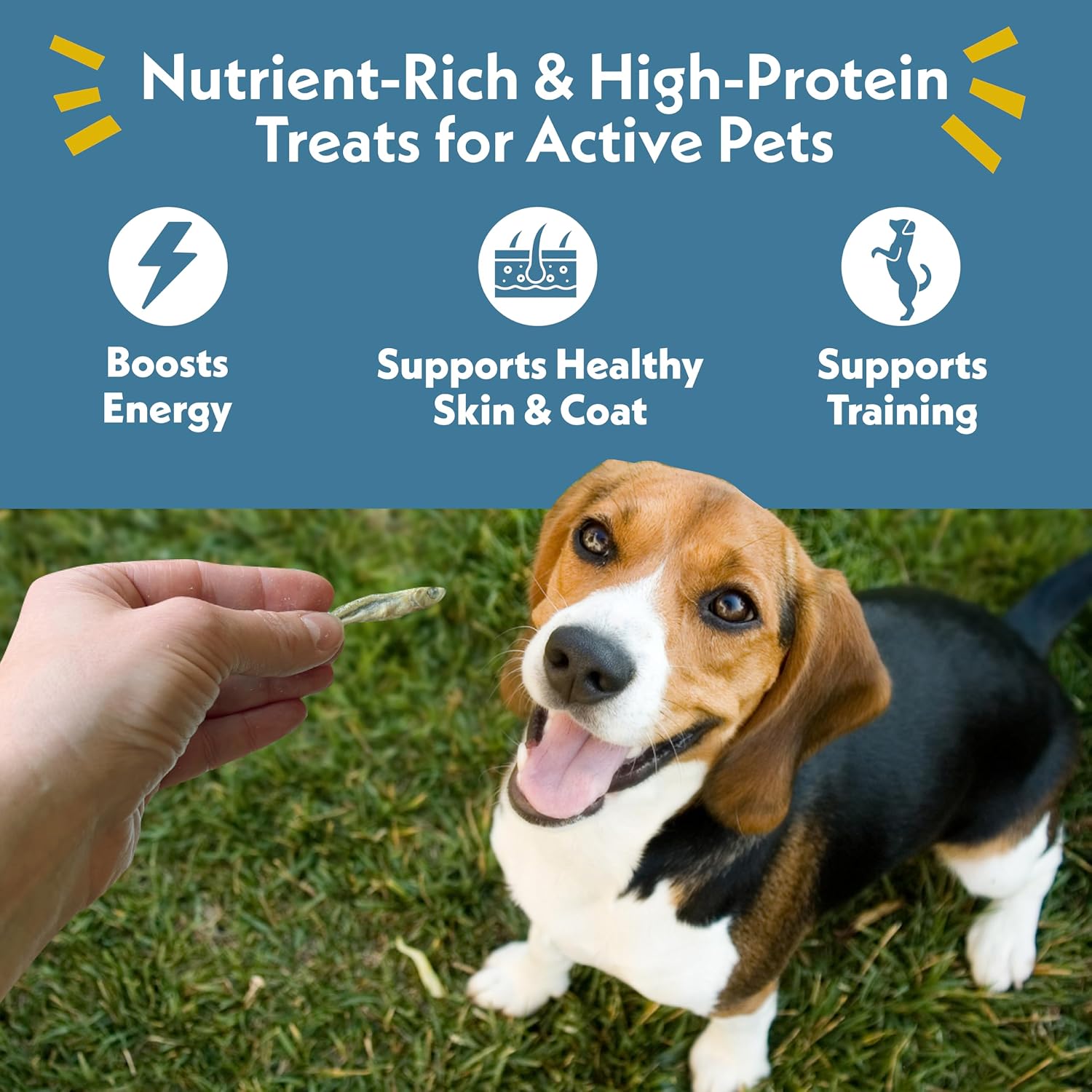 Fresh Is Best freeze dried minnows raw single ingredient dog treats