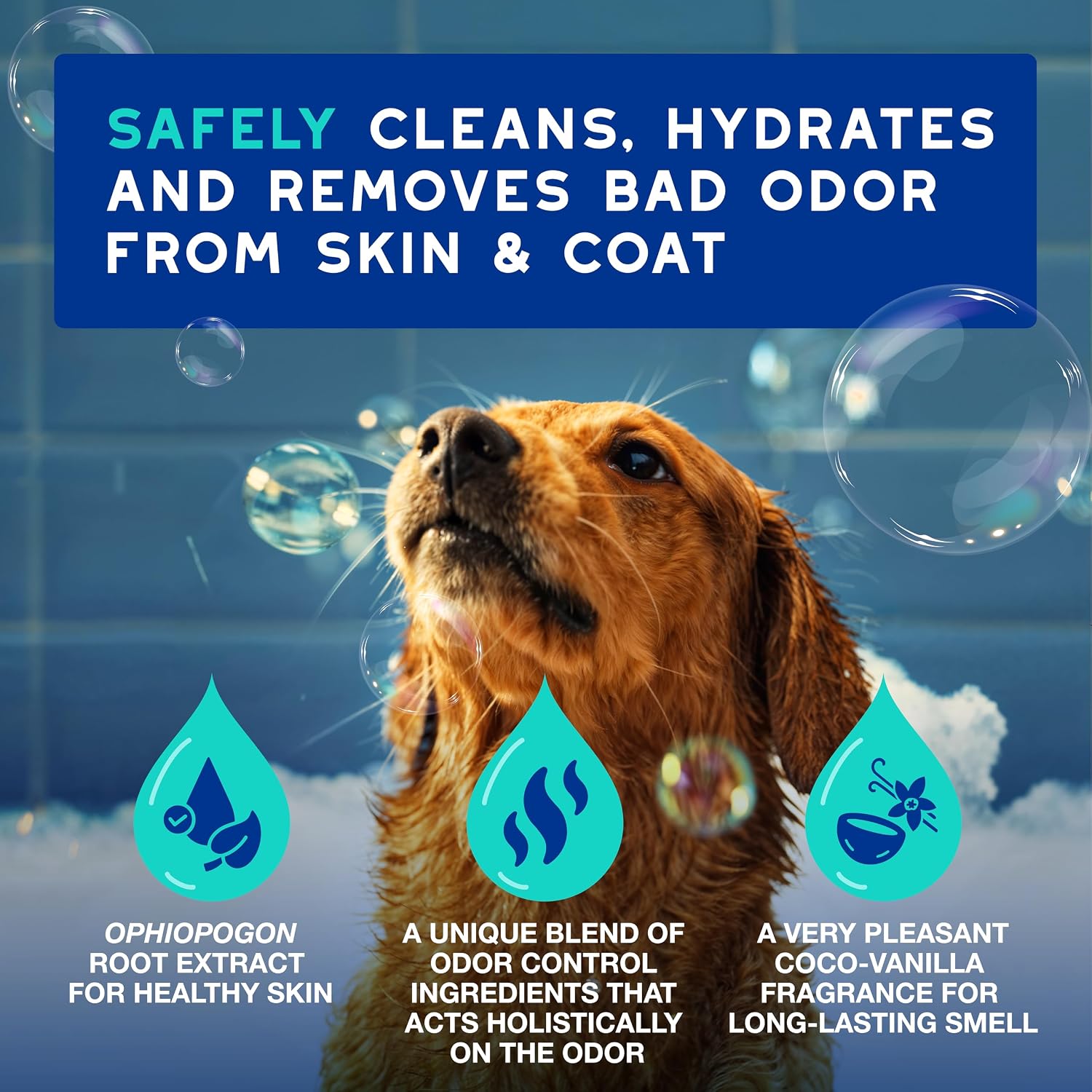 Douxo Spa 16 fluid ounce dog shampoo bottle