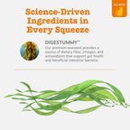 Lickable cat digestive supplement formula with seaweed and antioxidants