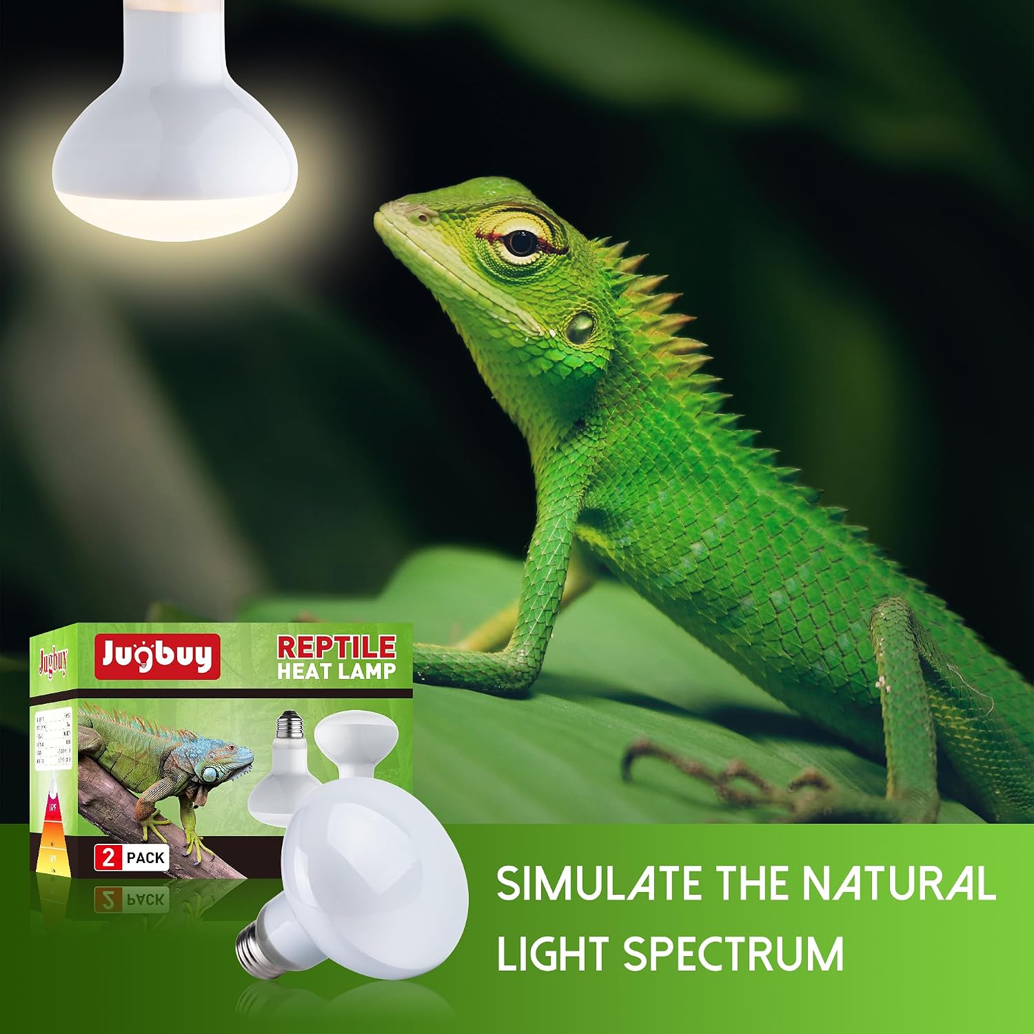 Jugbuy one hundred watt UVA heat lamp illuminating a bearded dragon terrarium setup.