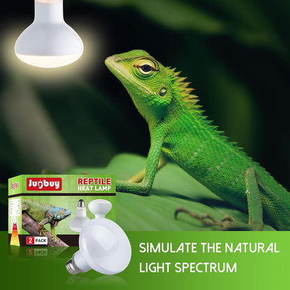 Jugbuy one hundred watt UVA heat lamp illuminating a bearded dragon terrarium setup.