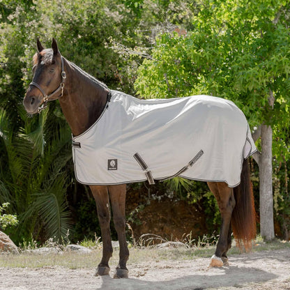 Equinavia Brisk equestrian sheet showing the front chest closure system and shoulder alignment.