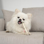 Bulk pack of 120 Mon2sun twist sticks for dog training