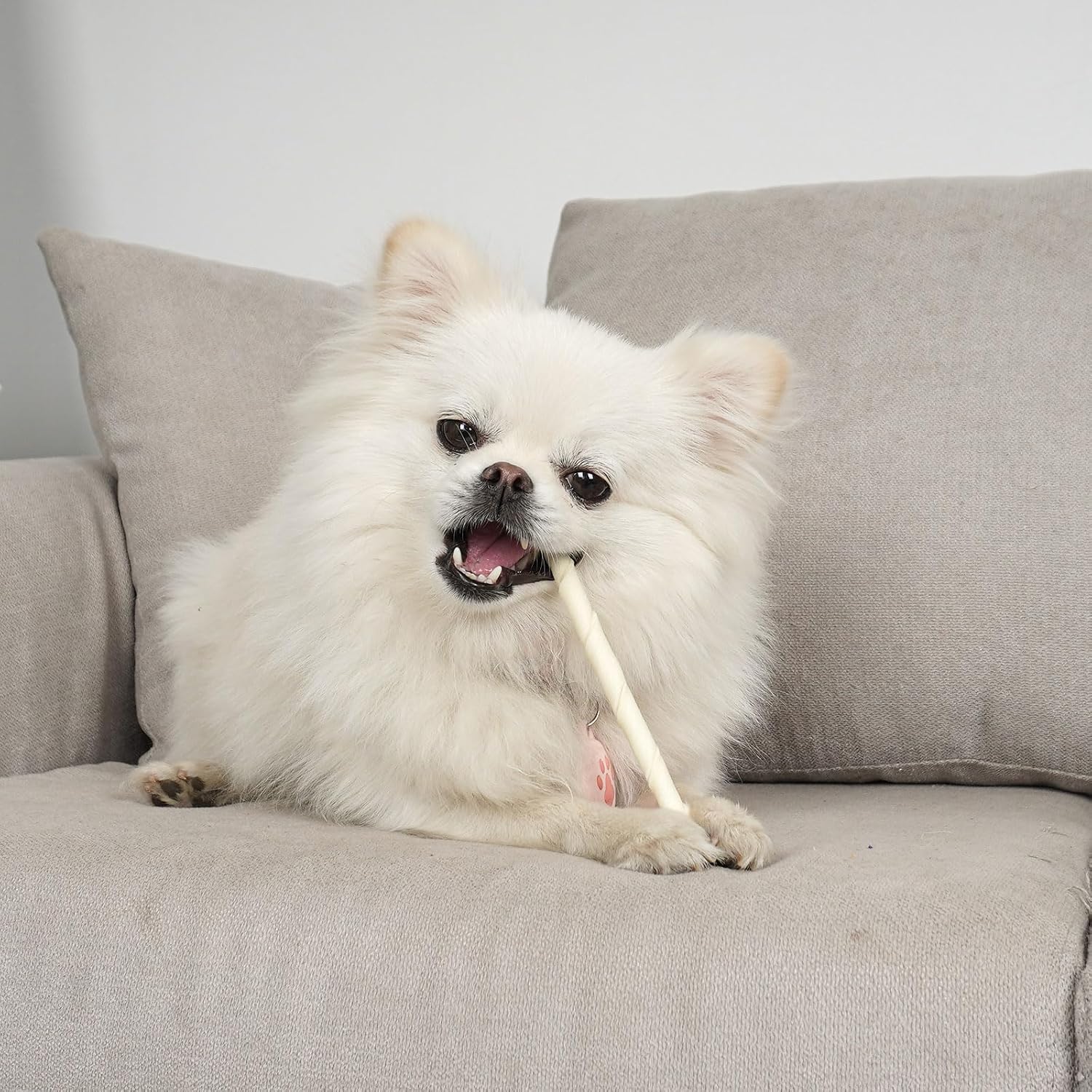 Bulk pack of 120 Mon2sun twist sticks for dog training