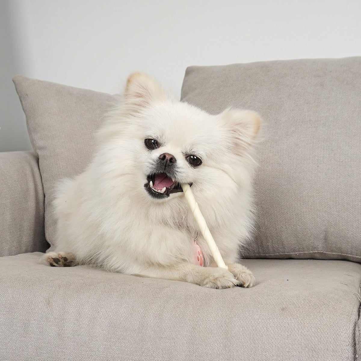 Bulk pack of 120 Mon2sun twist sticks for dog training
