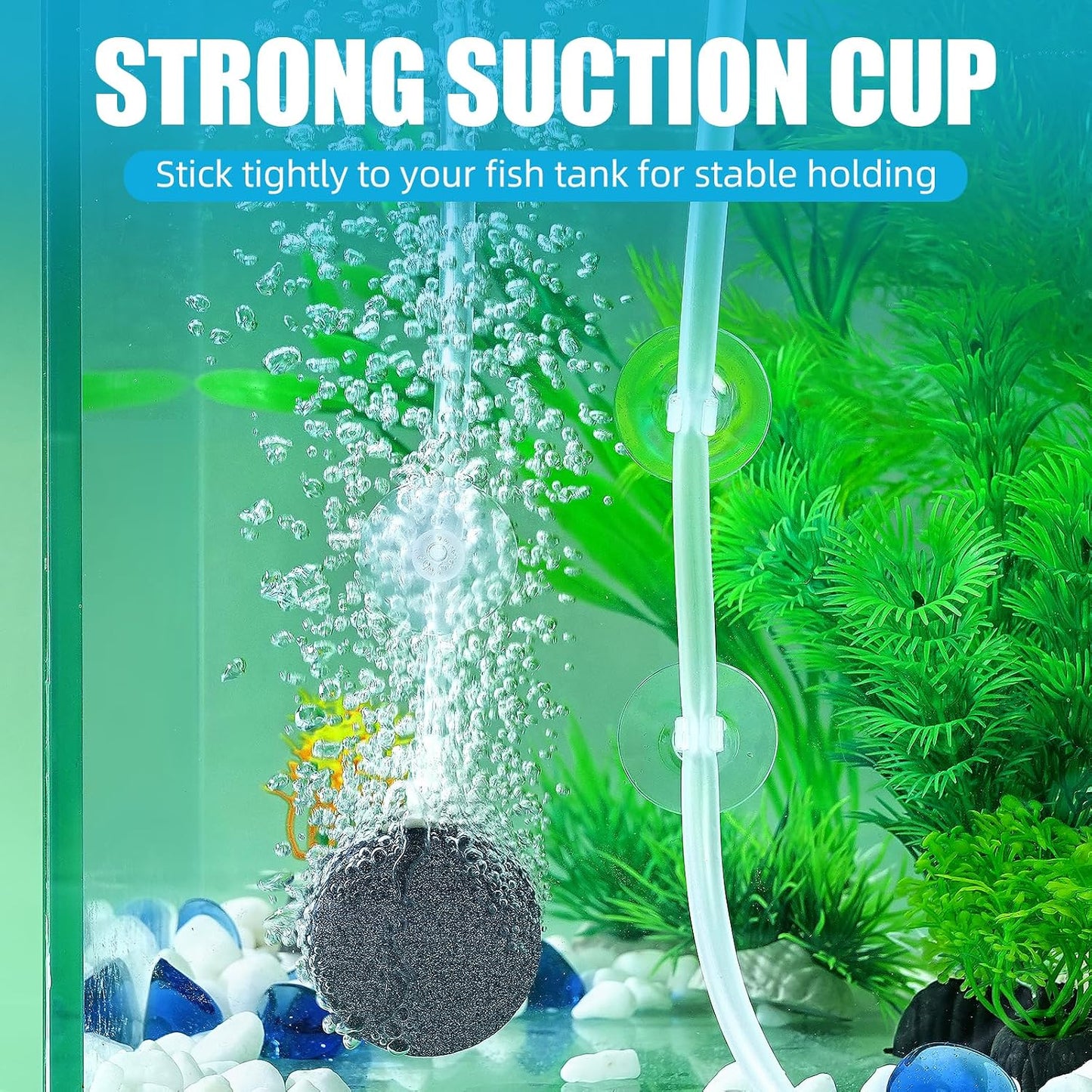 Close up view of clear fish tank suction cups and nylon ties
