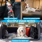 Package of two HaiYUAN blue dog safety seat belts for travel