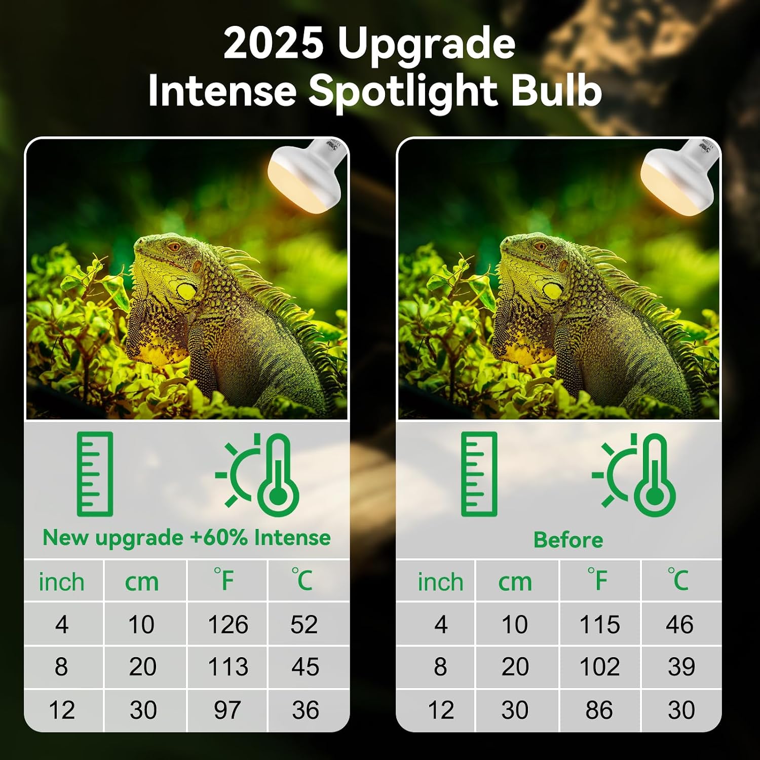 Lucky Herp UVA daylight basking bulb illuminating a professional reptile terrarium setup.