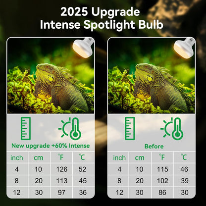 Lucky Herp UVA daylight basking bulb illuminating a professional reptile terrarium setup.