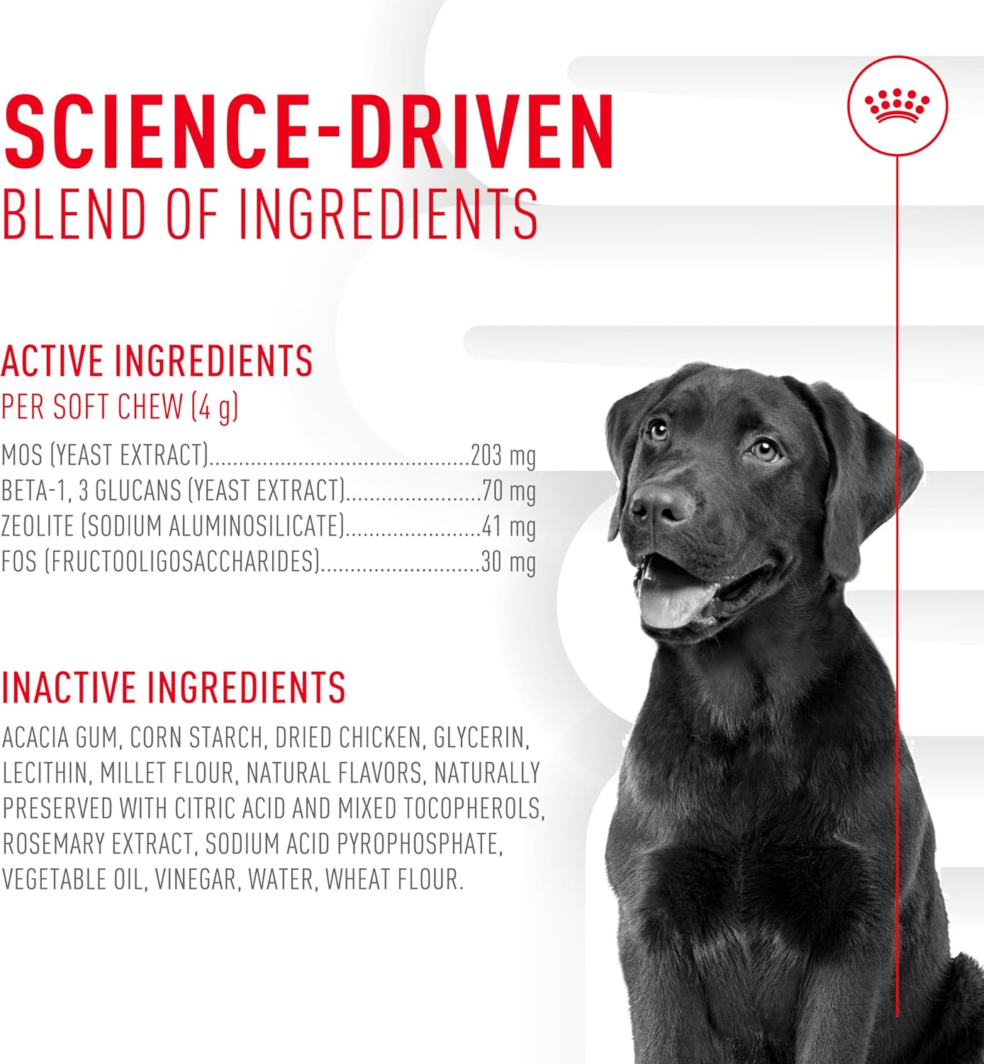 Back of package Royal Canin digestive supplement ingredients