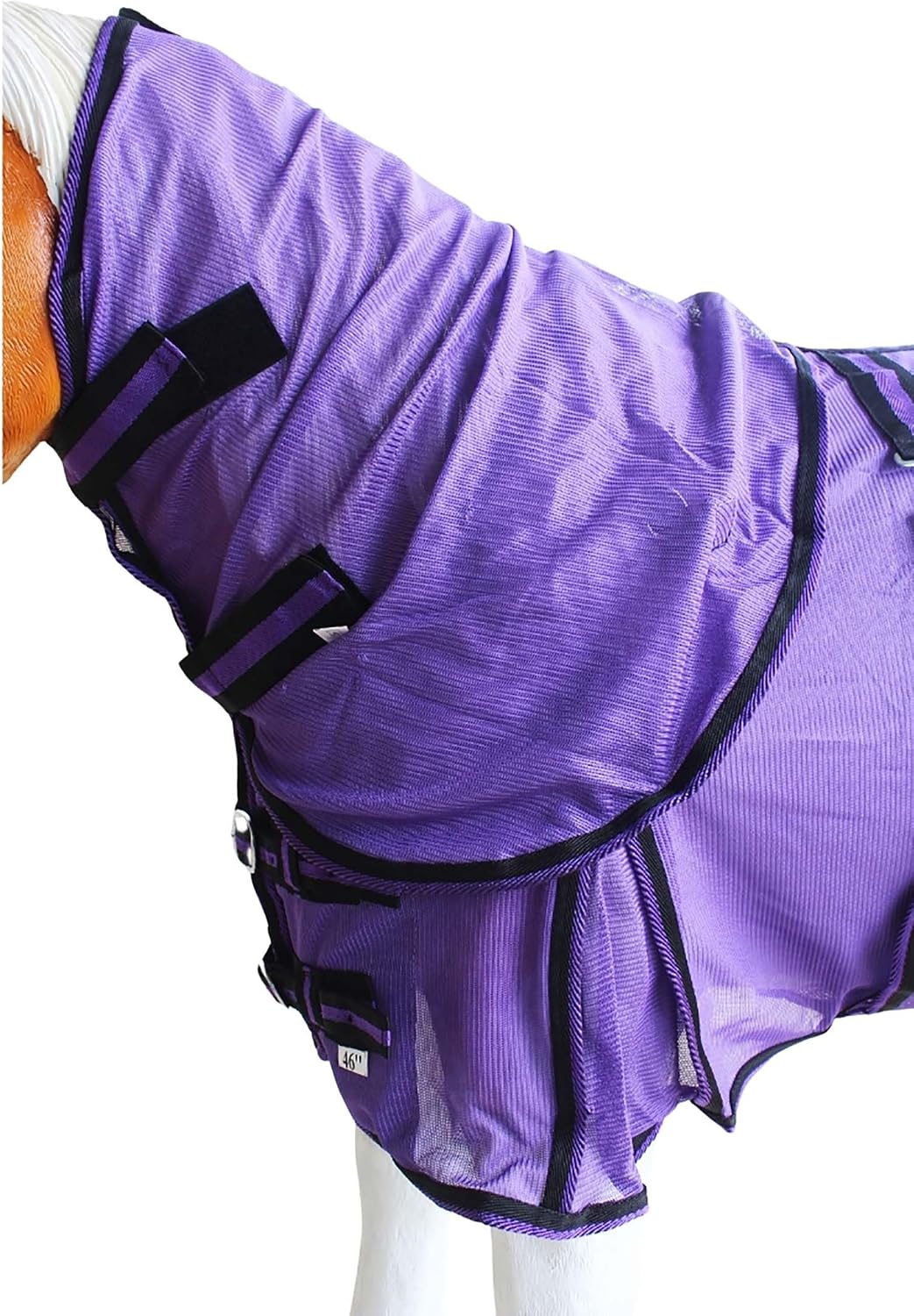 Side profile of Challenger purple pony fly blanket with adjustable belly band closures