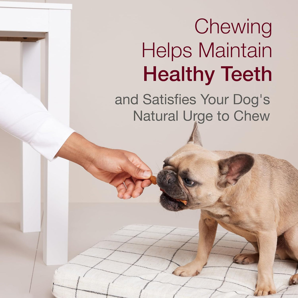 Easy to digest dog chews by SmartBones