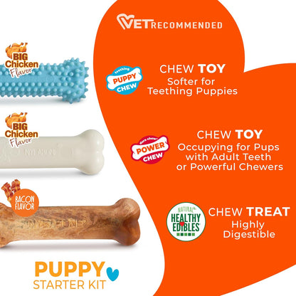 Bacon flavored natural chew treat for puppies