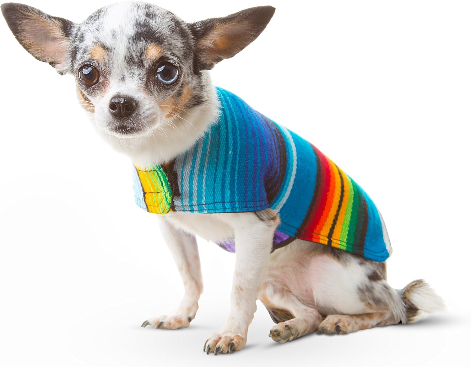 Baja Ponchos branded dog clothing packaging