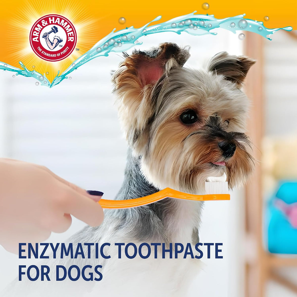 Authentic USA imported Arm and Hammer pet dental care product