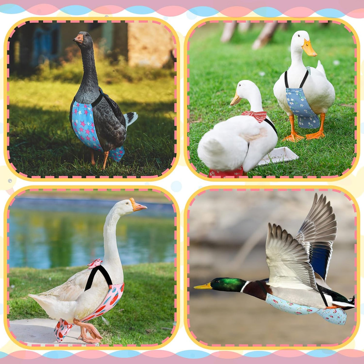 Side profile of pet duck wearing a DoubleFill reusable diaper