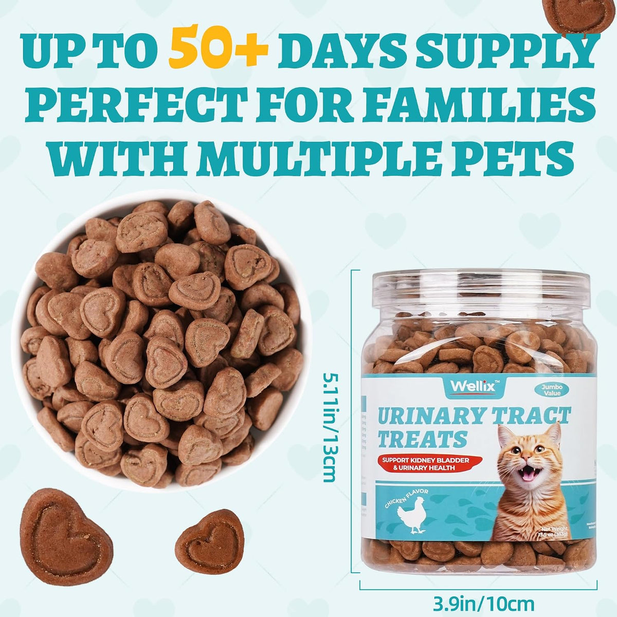 Wellix kitten and indoor cat kidney health treats with cranberry