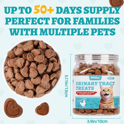 Wellix kitten and indoor cat kidney health treats with cranberry