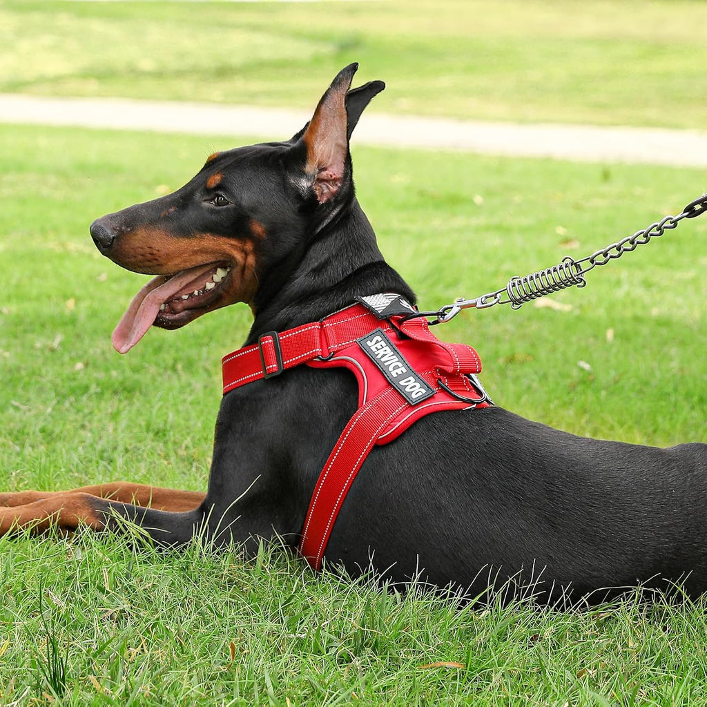 Quick release buckles on small red reflective dog harness