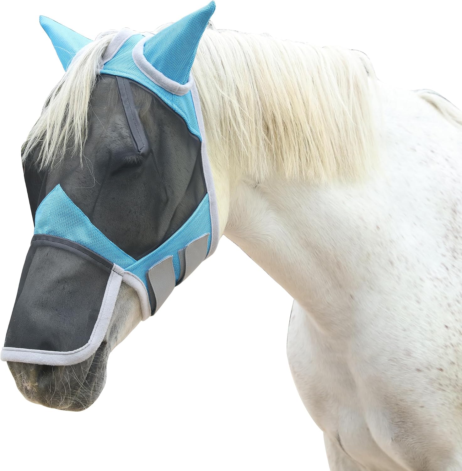 Turquoise horse fly mask worn on a full size horse