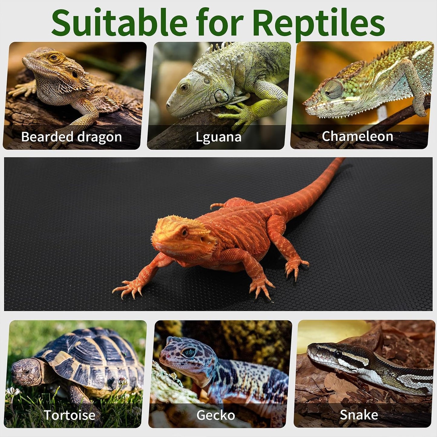 Full view of the 18x36 inches zunzingy reptile mat substrate bedding laid out flat