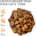 Cat Person savory chicken crunchies treats for premium feline skin and coat care