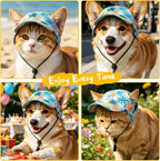 Medium size dog baseball cap flat lay view