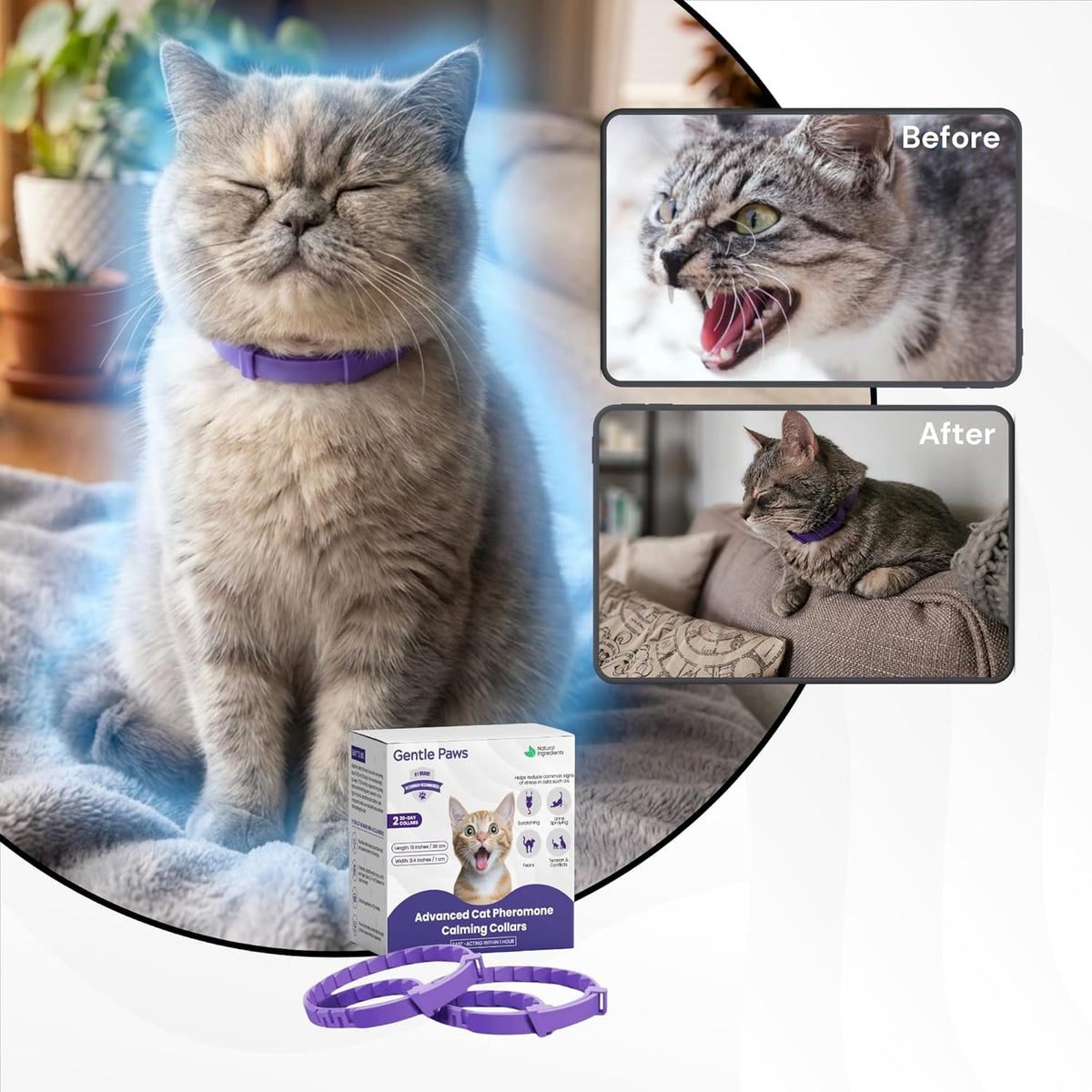 Two grey calming pheromone collars for cats showing the adjustable breakaway safety buckle details.
