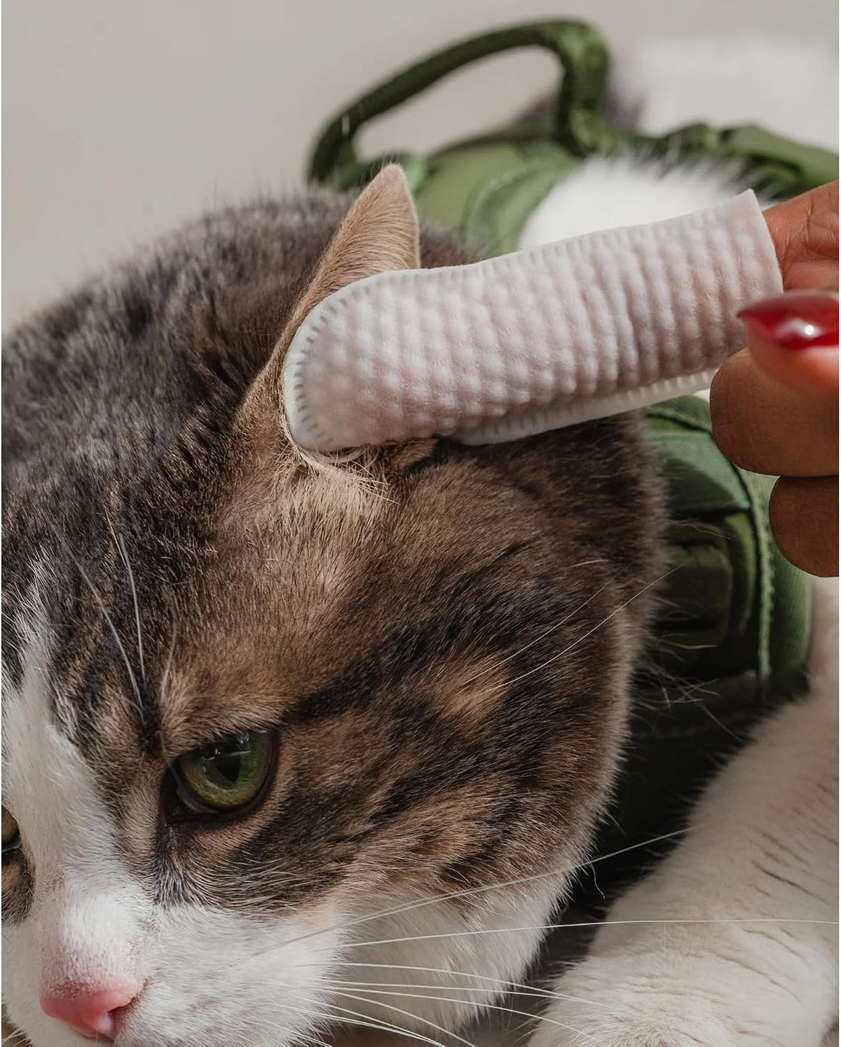 Unscented pet safe finger sleeve wipes for cat daily grooming and care