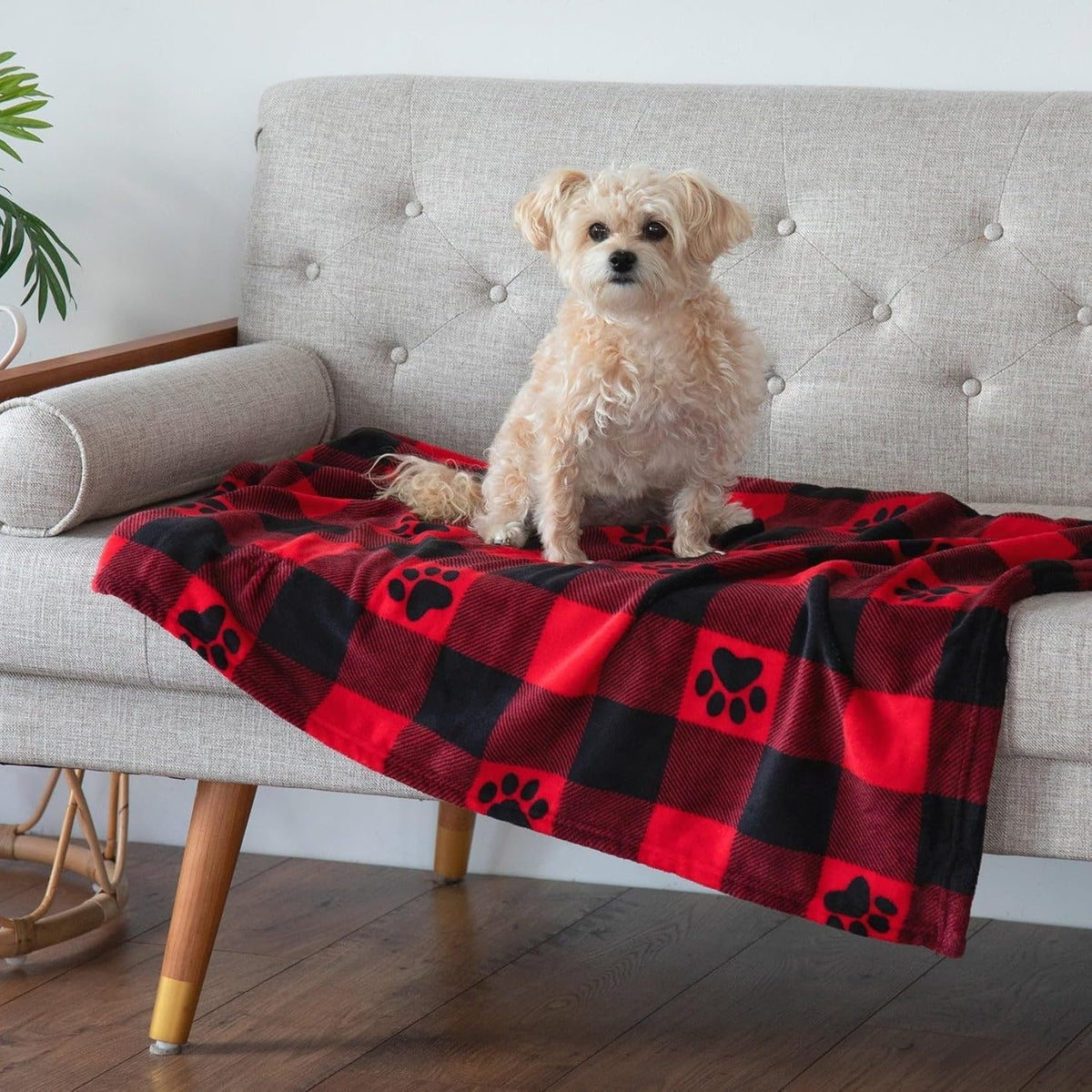 Purple paw print pattern details on a soft high quality polyester pet blanket.