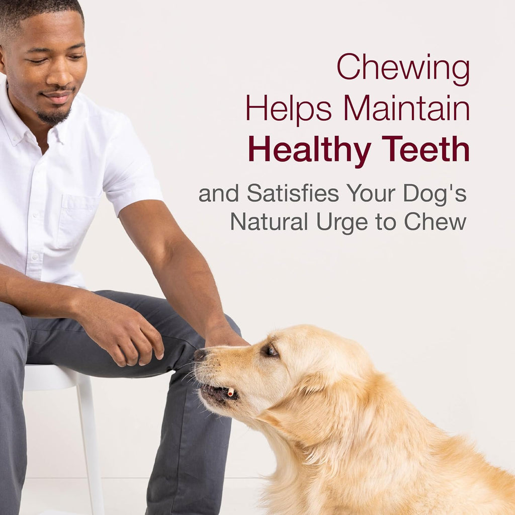 Authentic USA imported dog dental chews displaying the rawhide free guarantee.