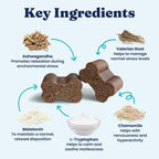 NutrientBoost infused canine calming chews label close up