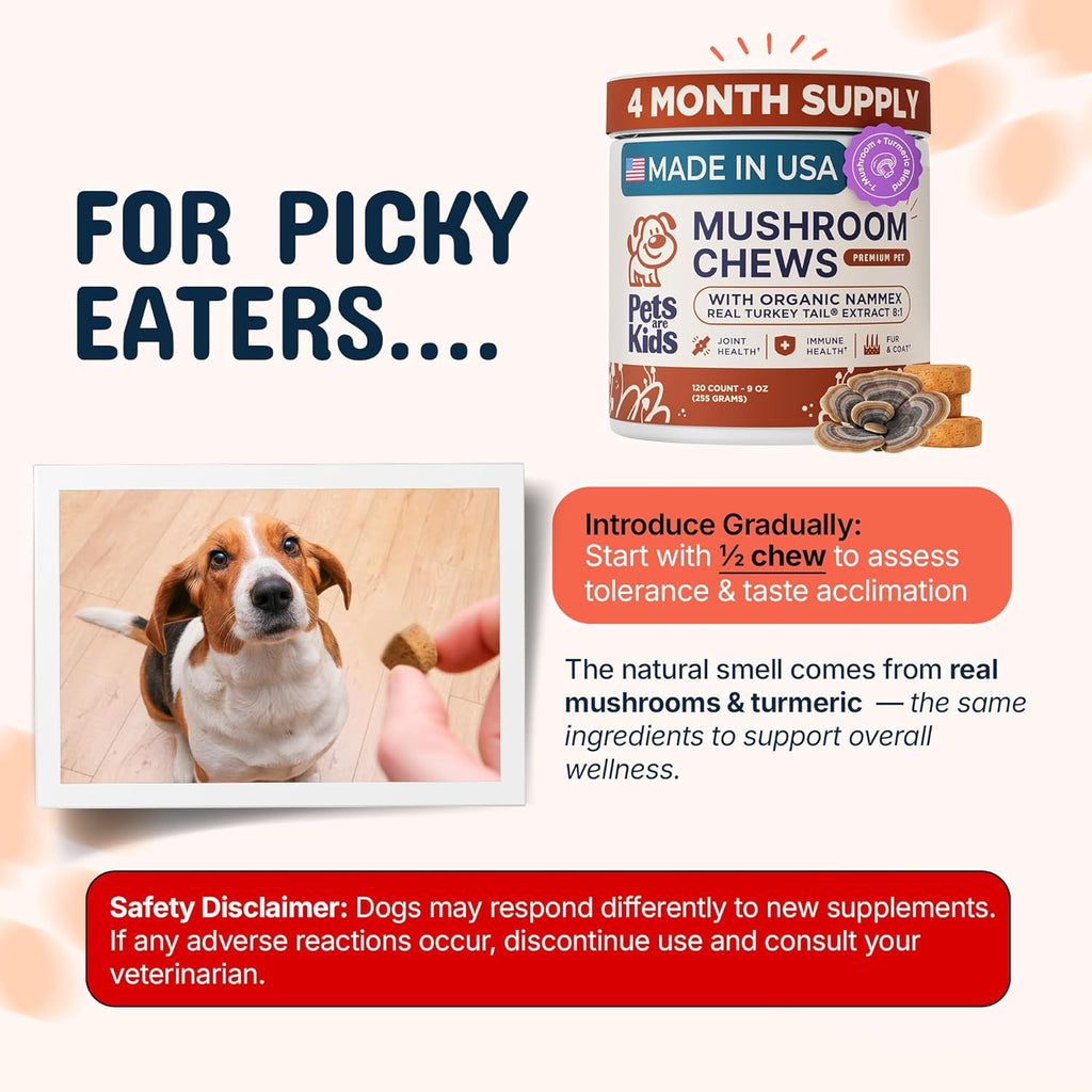 Pets Are Kids Too pet supplement container highlighting Reishi and Lions Mane ingredients.
