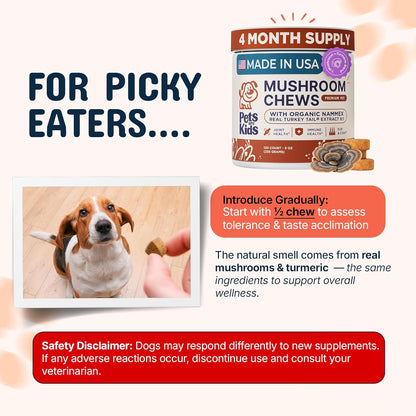 Pets Are Kids Too pet supplement container highlighting Reishi and Lions Mane ingredients.