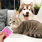 Using Flymoqi dog eye comb on cat facial fur