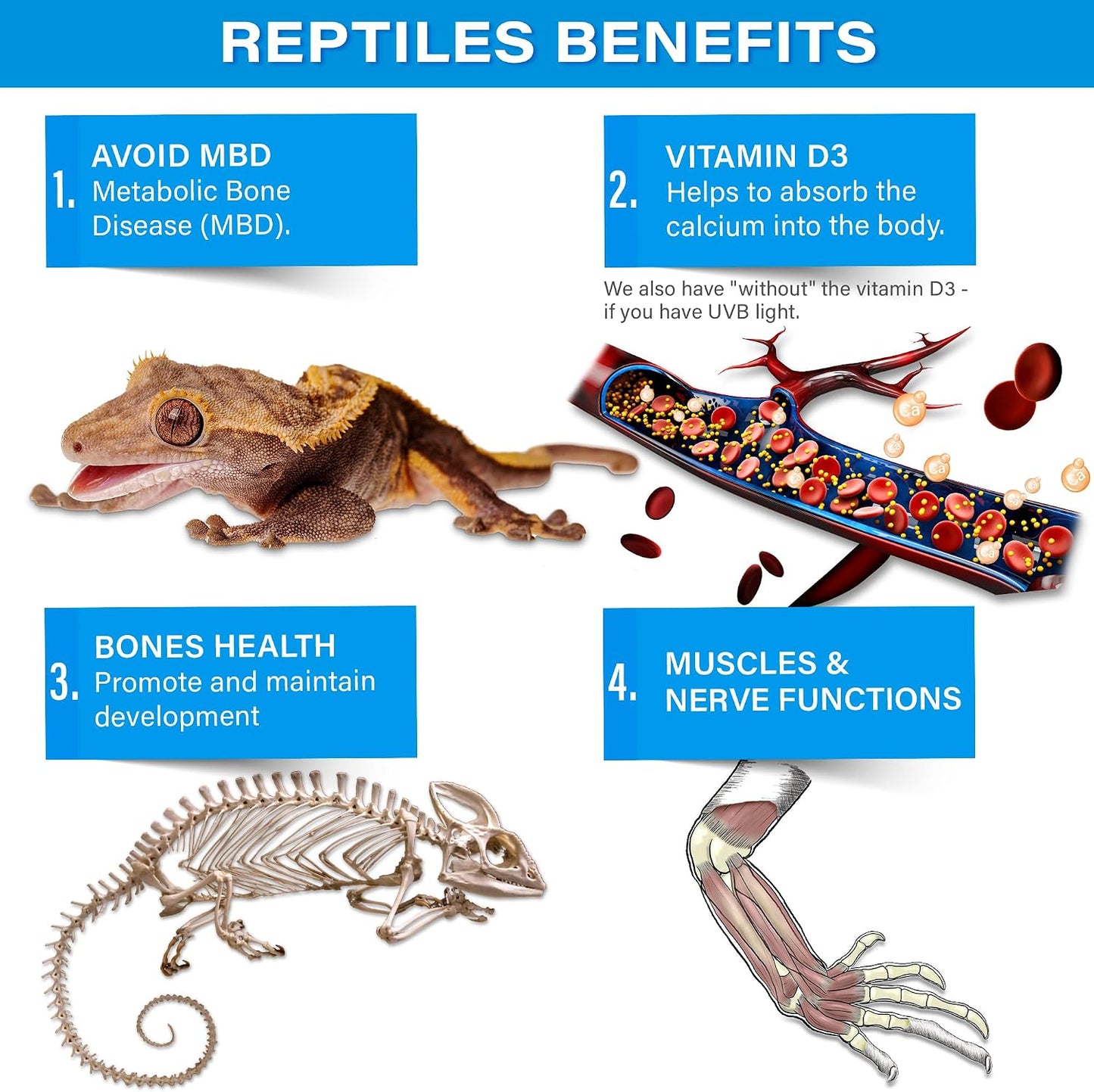 Gargeer phosphorus-free calcium for lizards and amphibians