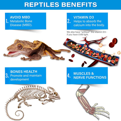Gargeer phosphorus-free calcium for lizards and amphibians