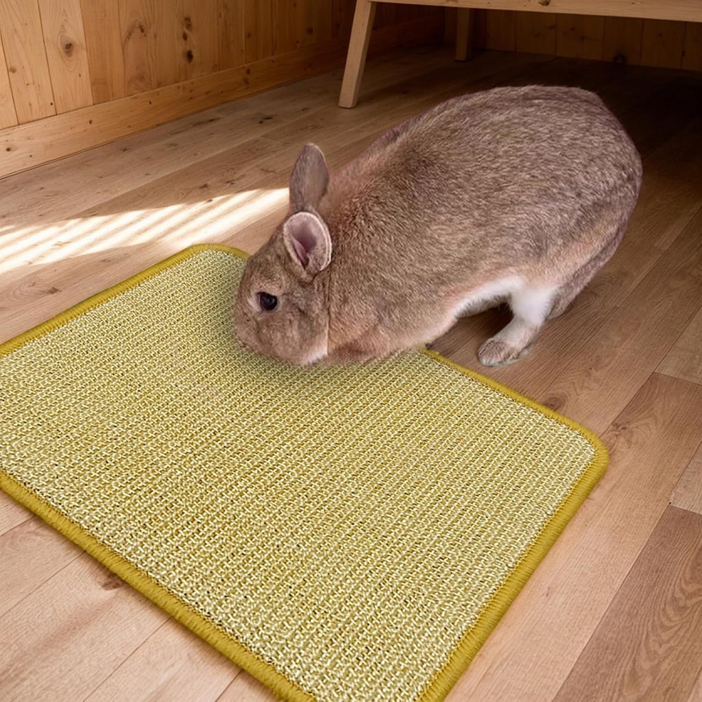 Anti slip back surface of the DYAUS pet bedding accessory